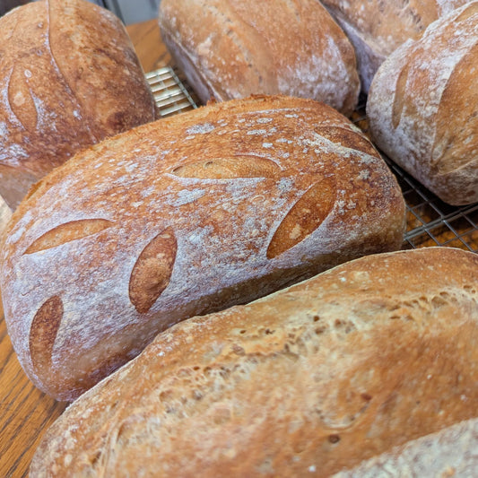 Classic Sourdough